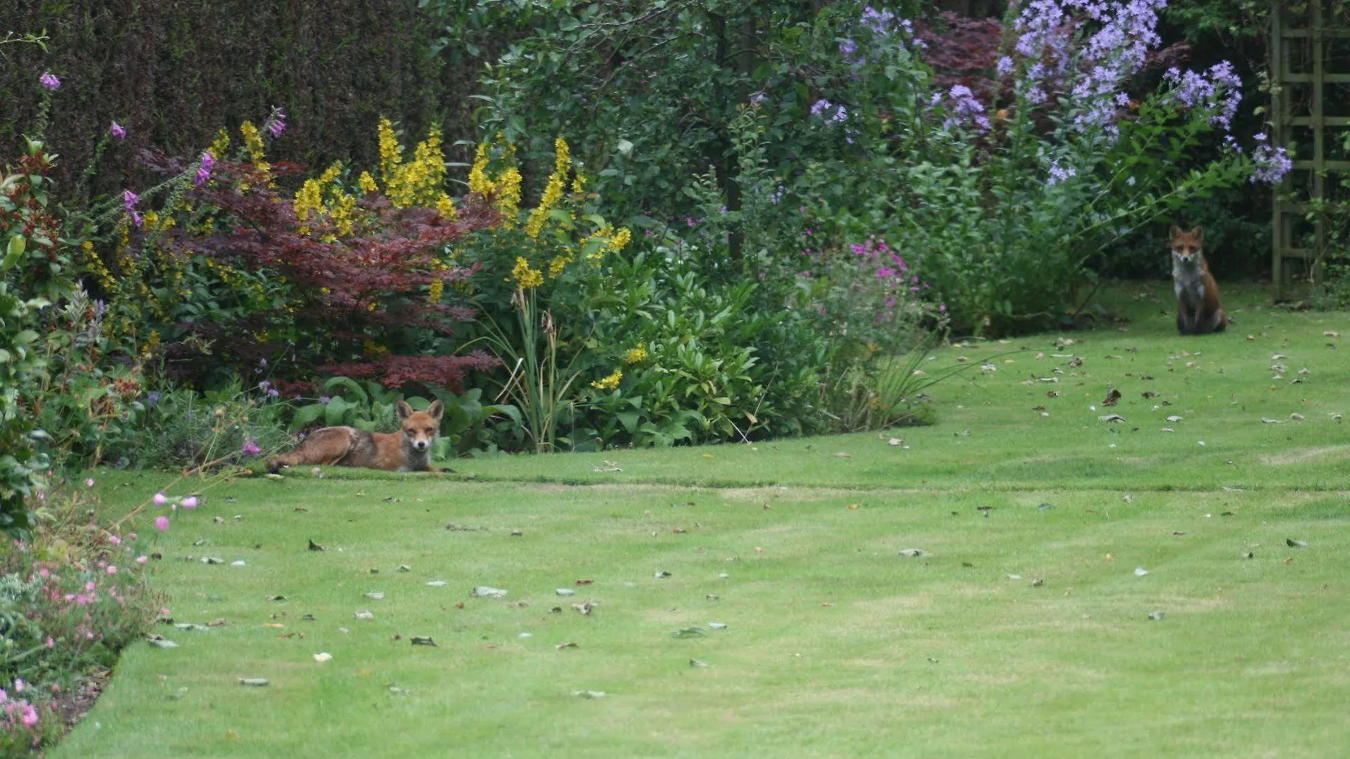 The Heathers Guest House York 4*,  Verenigd Koninkrijk